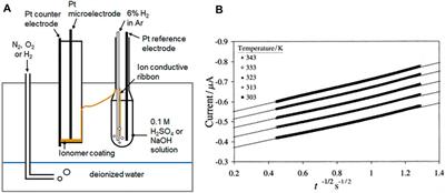 Gas Permeability Test Protocol for Ion-Exchange Membranes